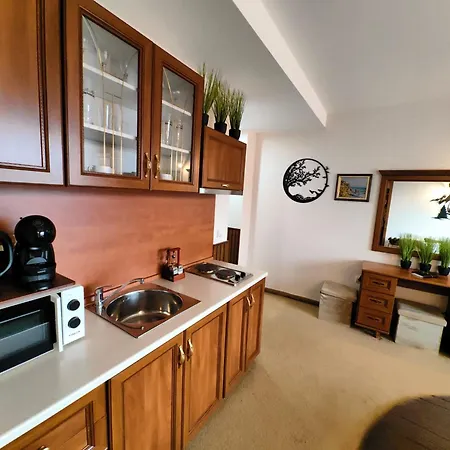 Apartament Peak *